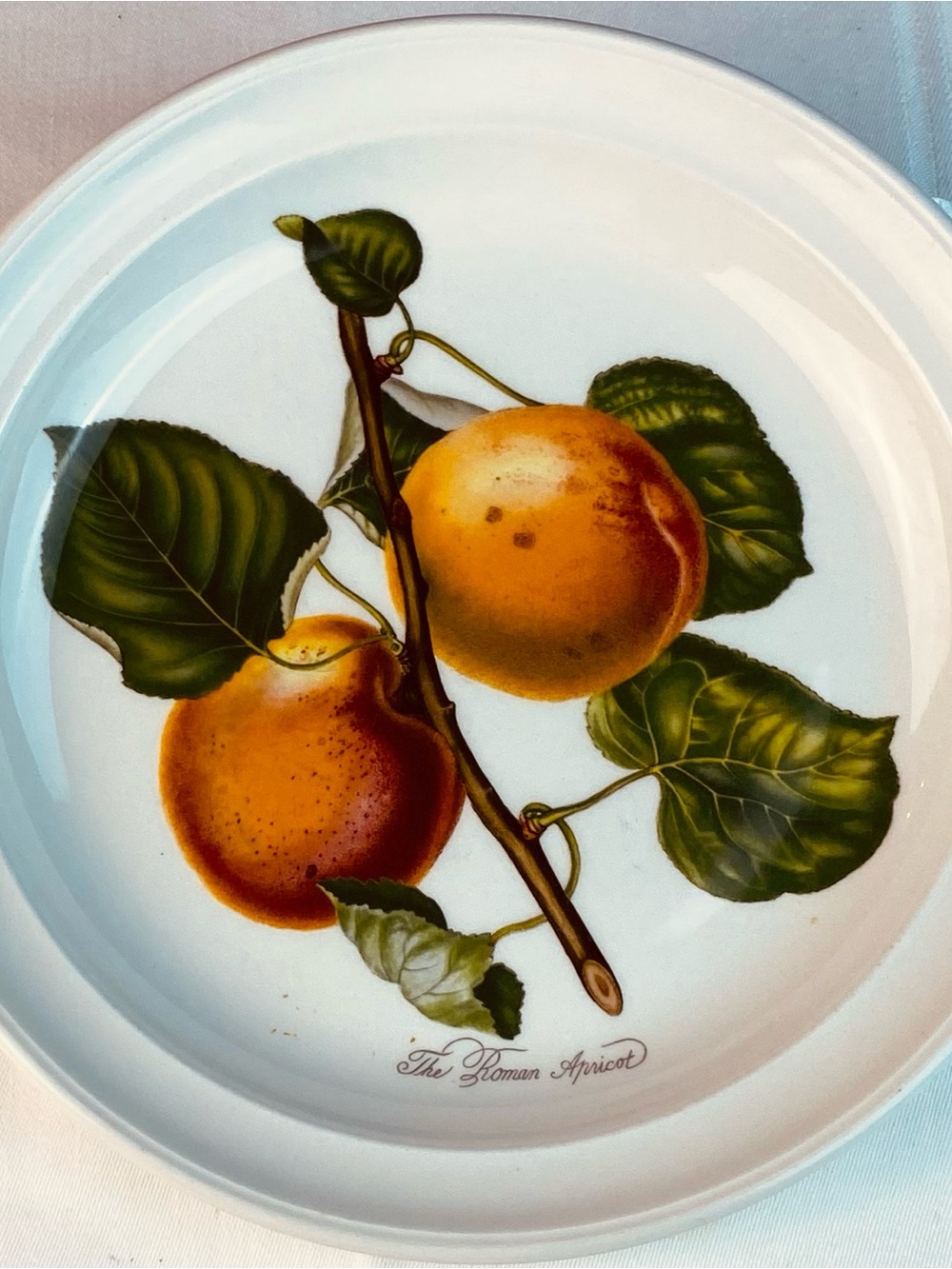 Portmeirion 7-3/8 “ Dessert Plate “The Roman Apricot” Patten